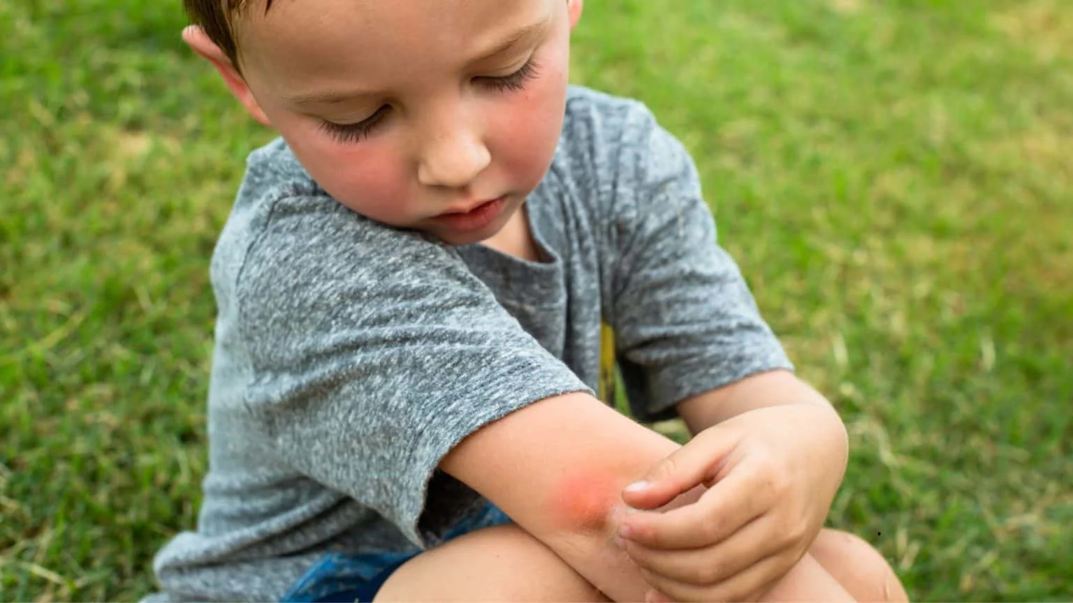 Natural Mosquito Control