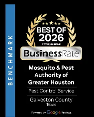 Best of 2026 Business Rate